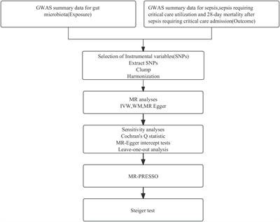 Gut microbiota and sepsis and sepsis-related death: a Mendelian randomization investigation